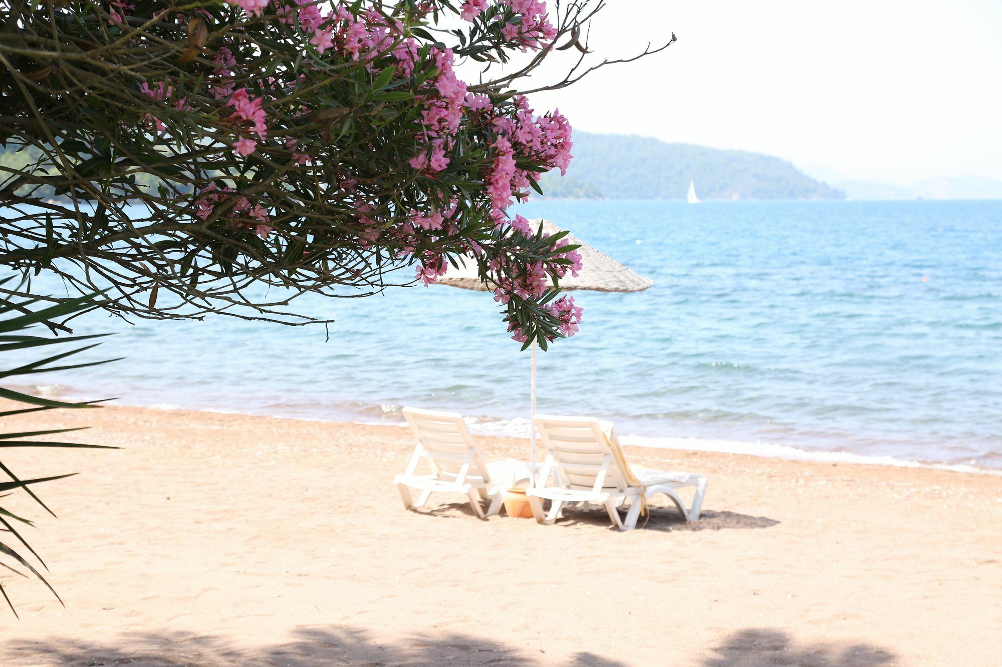 Hotel Golden Key Hisaronu Marmaris Exteriér fotografie